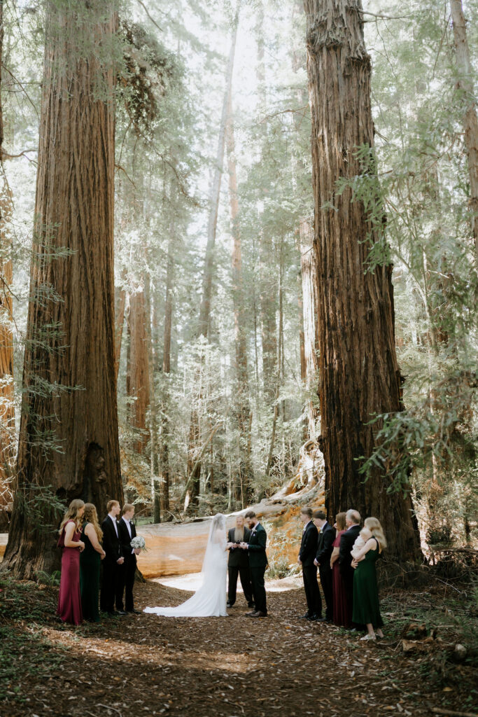 A Hendy Wood & Mendocino Elopement with Family, Redwoods, and a Sunset Beach Adventure