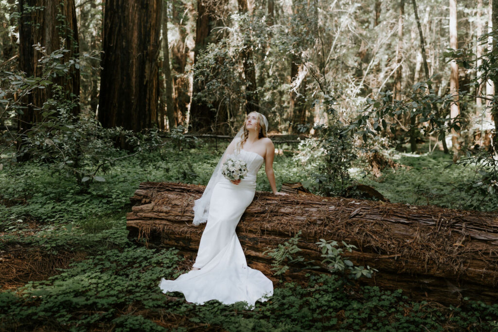 stunning picture of the bride at her dream elopement