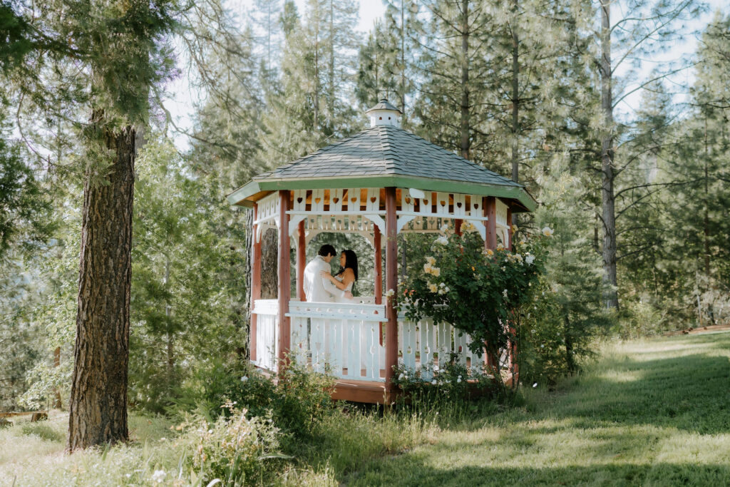 A Lillaskog Lodge Yosemite Elopement with Family, Dogs, and Sunset Vows at Taft Point