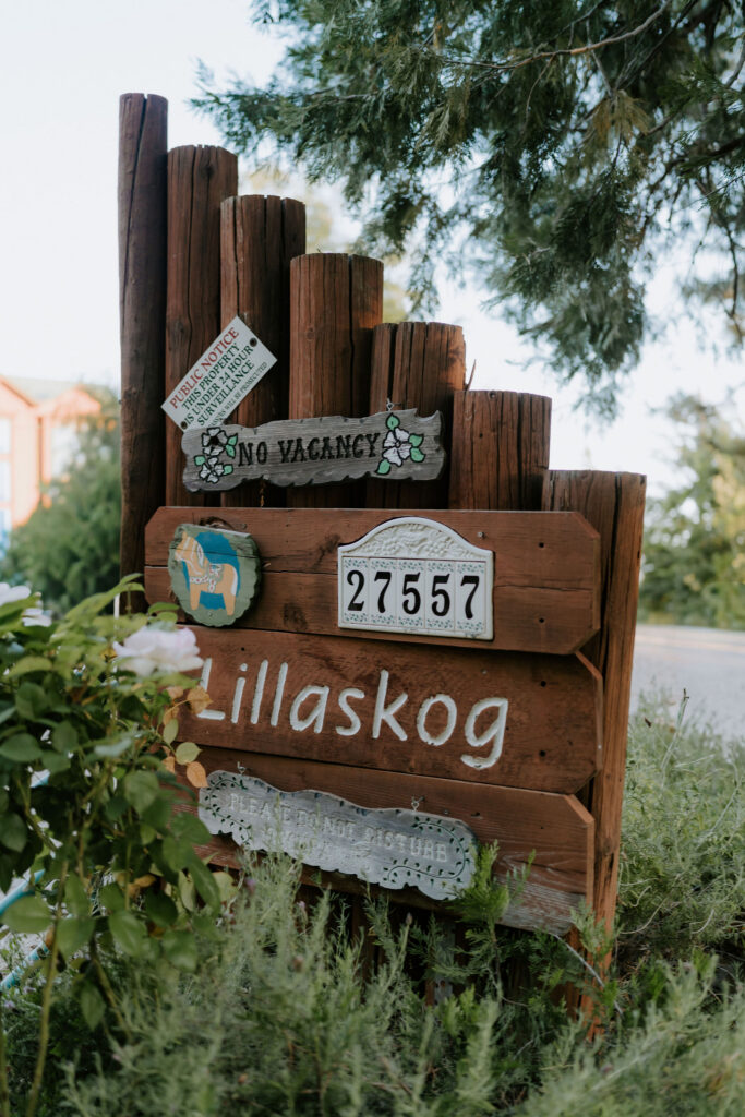 A Lillaskog Lodge Yosemite Elopement with Family, Dogs, and Sunset Vows at Taft Point