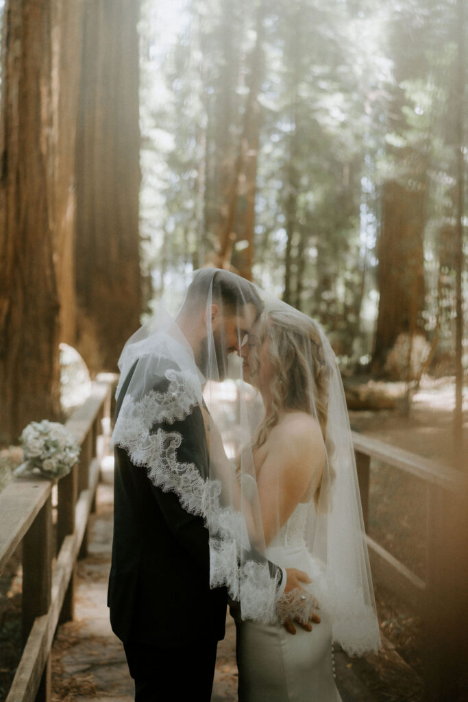 golden hour bridal portraits in the redwoods at Hendy Woods near Mendocino