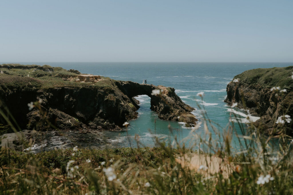 An Intimate California Elopement with Family, Redwoods, and a Sunset Beach Adventure