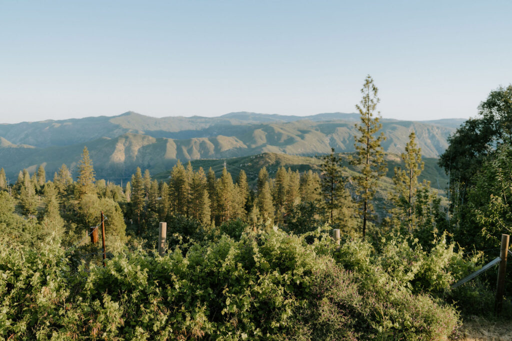 stunning elopement in yosemite