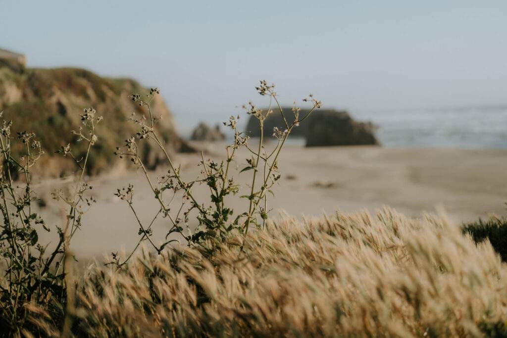 intimate elopement in california