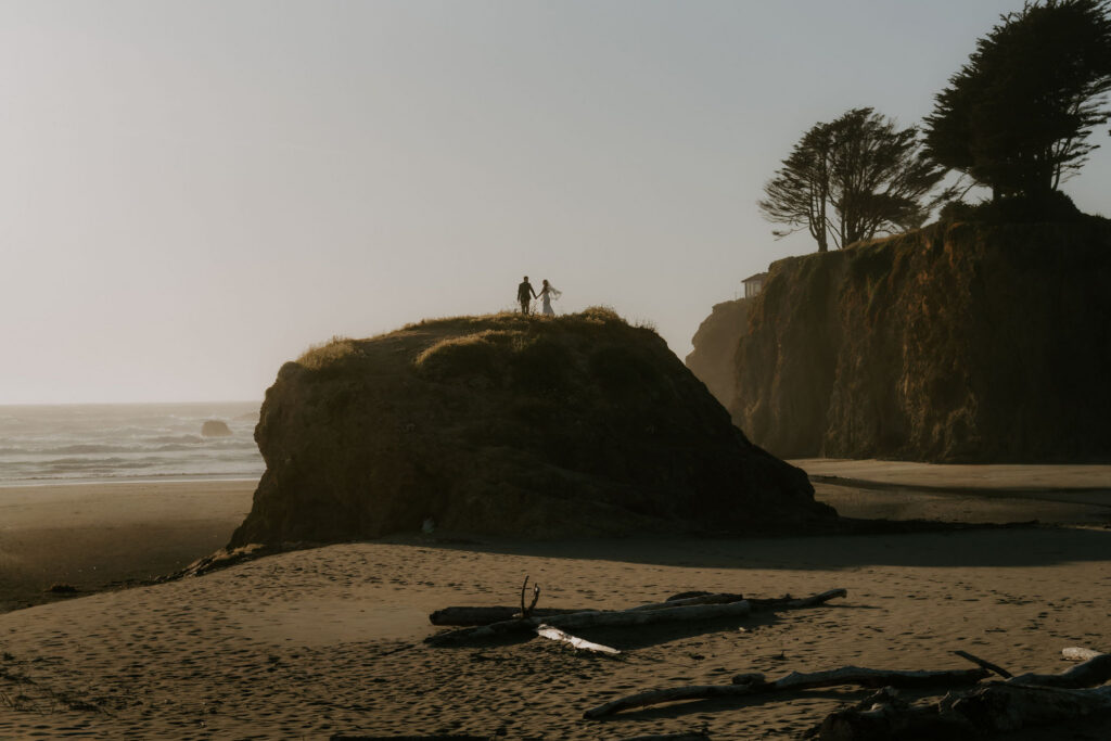 An Intimate California Elopement with Family, Redwoods, and a Sunset Beach Adventure