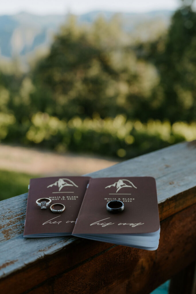 stunning picture of the wedding rings