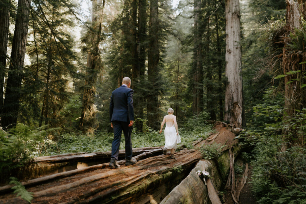 A Redwoods National Park Elopement with a Forest Reception | Amanda & Bob