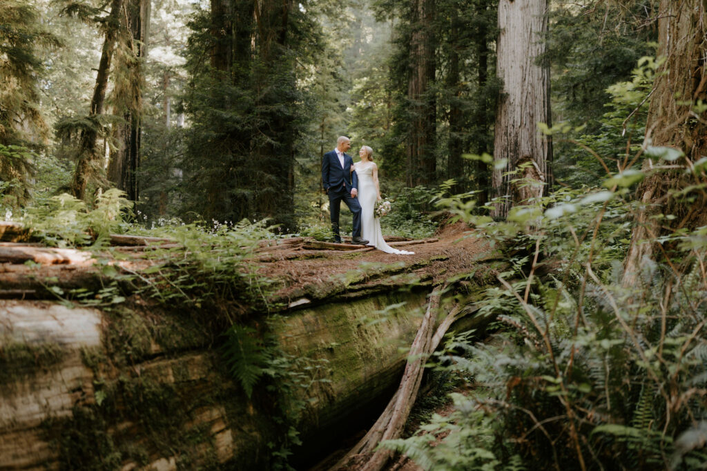 timeless and adventurous bridal session in CA