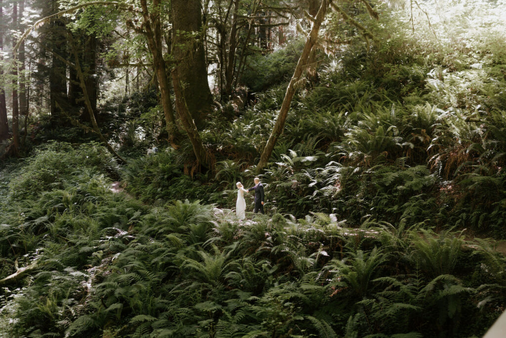 A Redwoods National Park Elopement with a Forest Reception | Amanda & Bob
