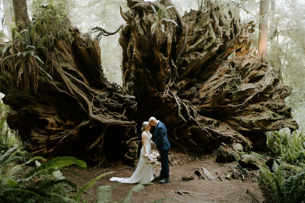 A Redwoods National Park Elopement with a Forest Reception | Amanda & Bob