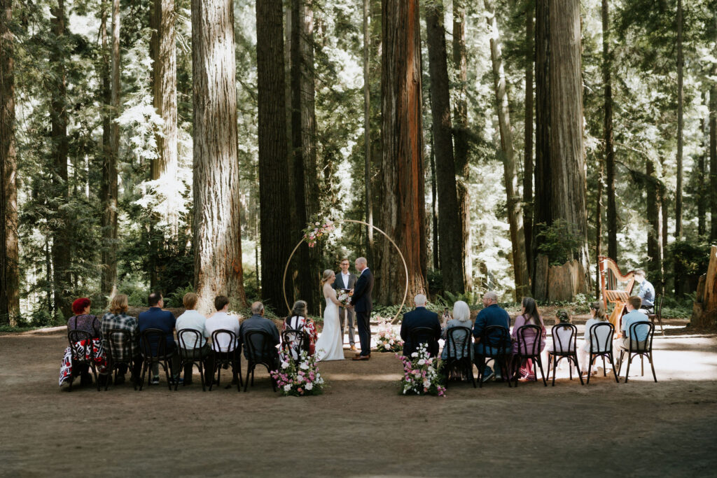 A Redwoods National Park Elopement with a Forest Reception | Amanda & Bob