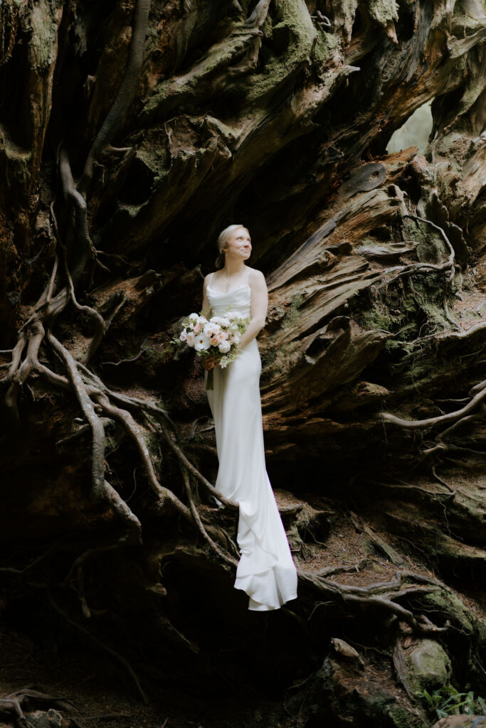 stunning picture of the bride at her dream elopement