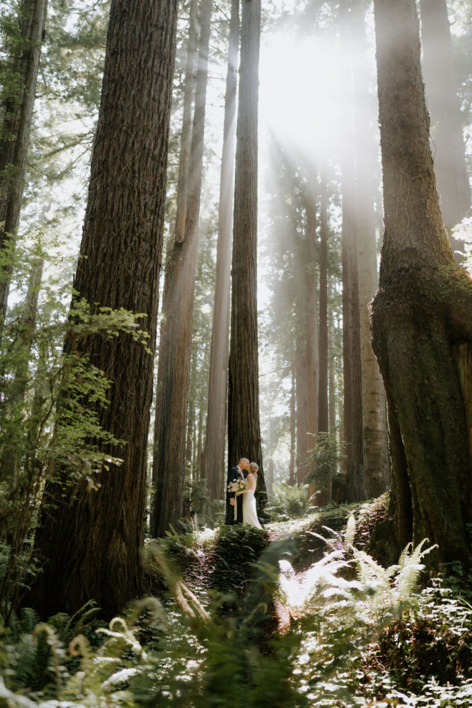 A Redwoods National Park Elopement with a Forest Reception | Amanda & Bob