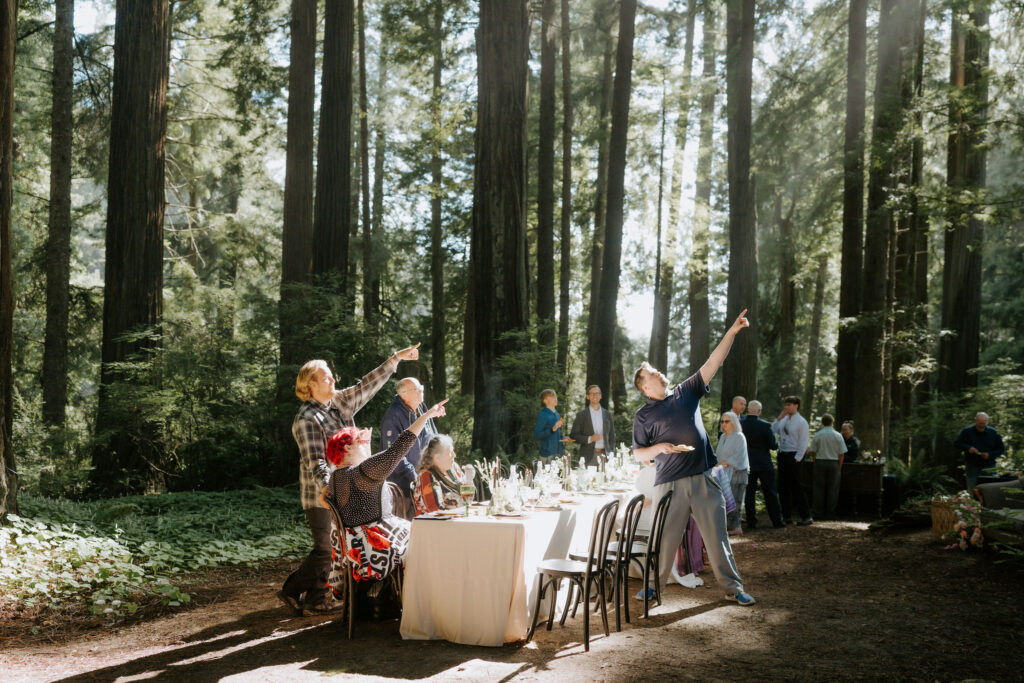 A Redwoods National Park Elopement with a Forest Reception | Amanda & Bob