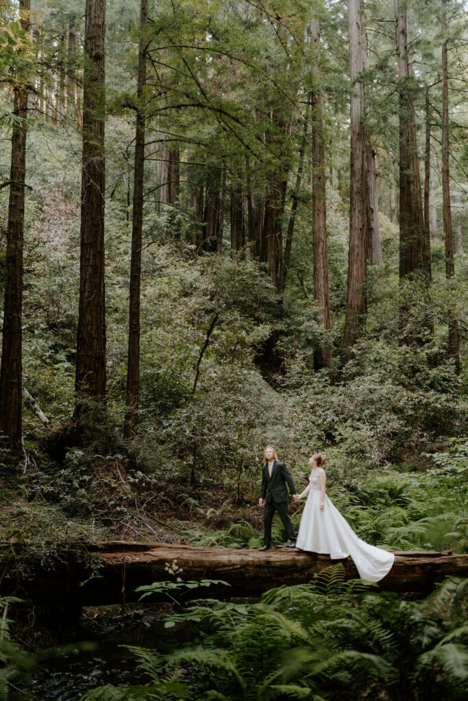 Muir Woods Elopement With a San Francisco Coast Adventure