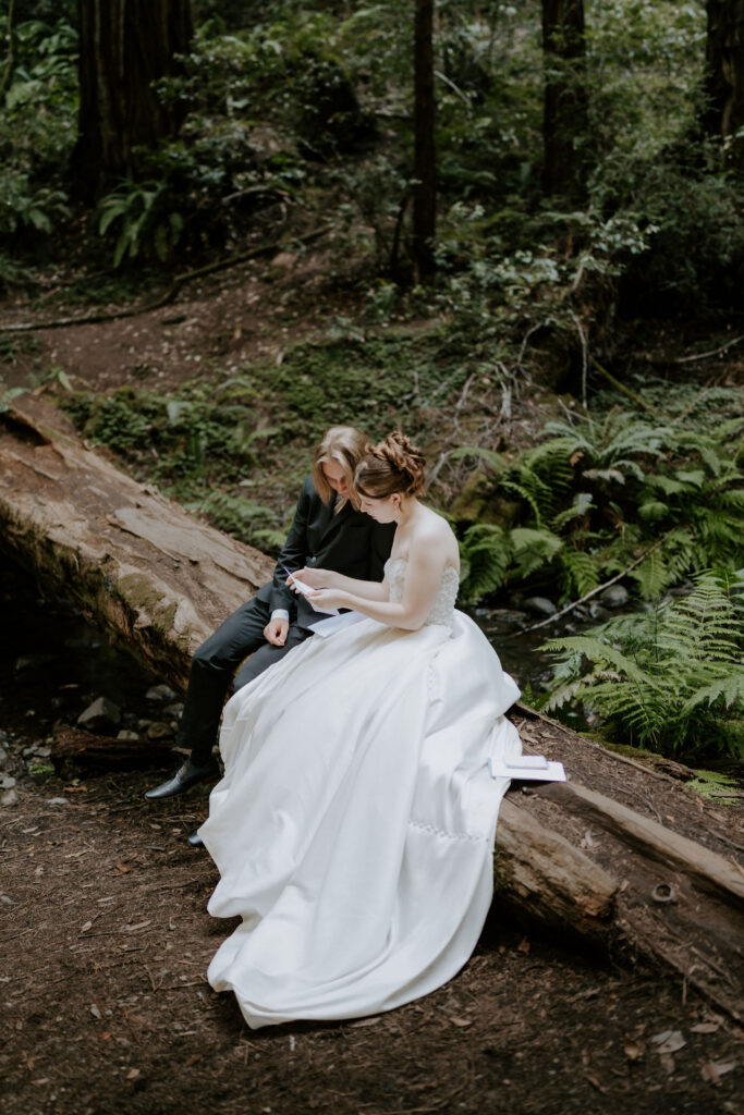 Muir Woods Elopement With a San Francisco Coast Adventure