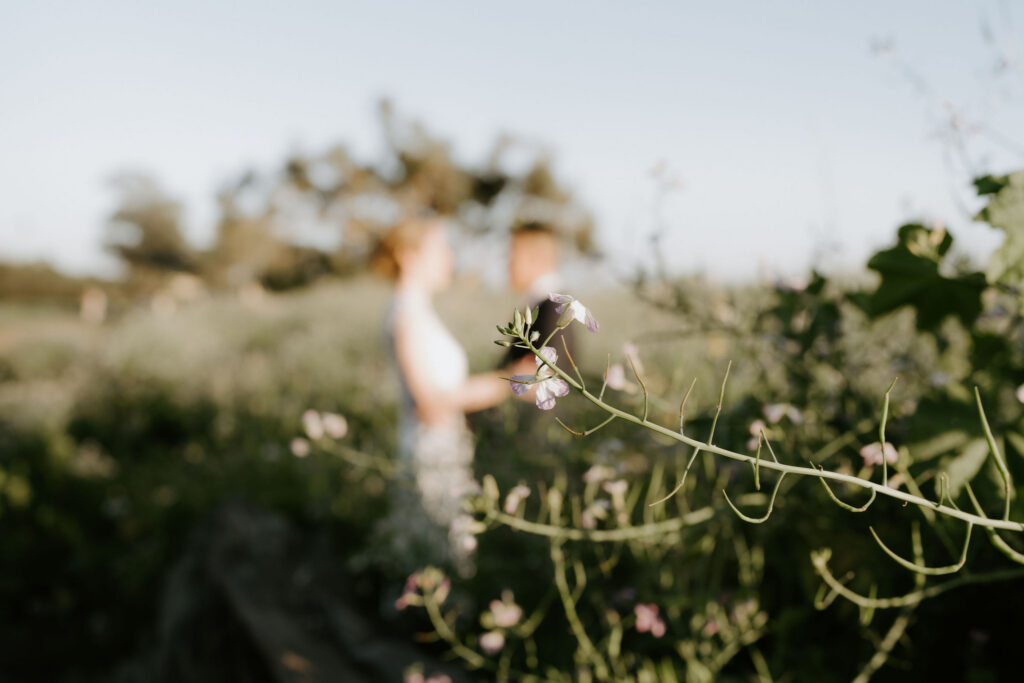 An Intimate Santa Barbara Elopement | Courthouse Ceremony, Coastline Vows & Dinner