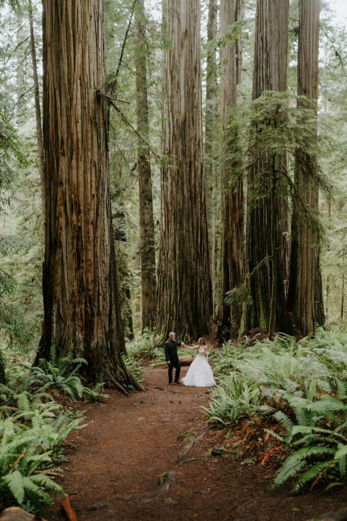 romantic bridal portraits in the redwoods