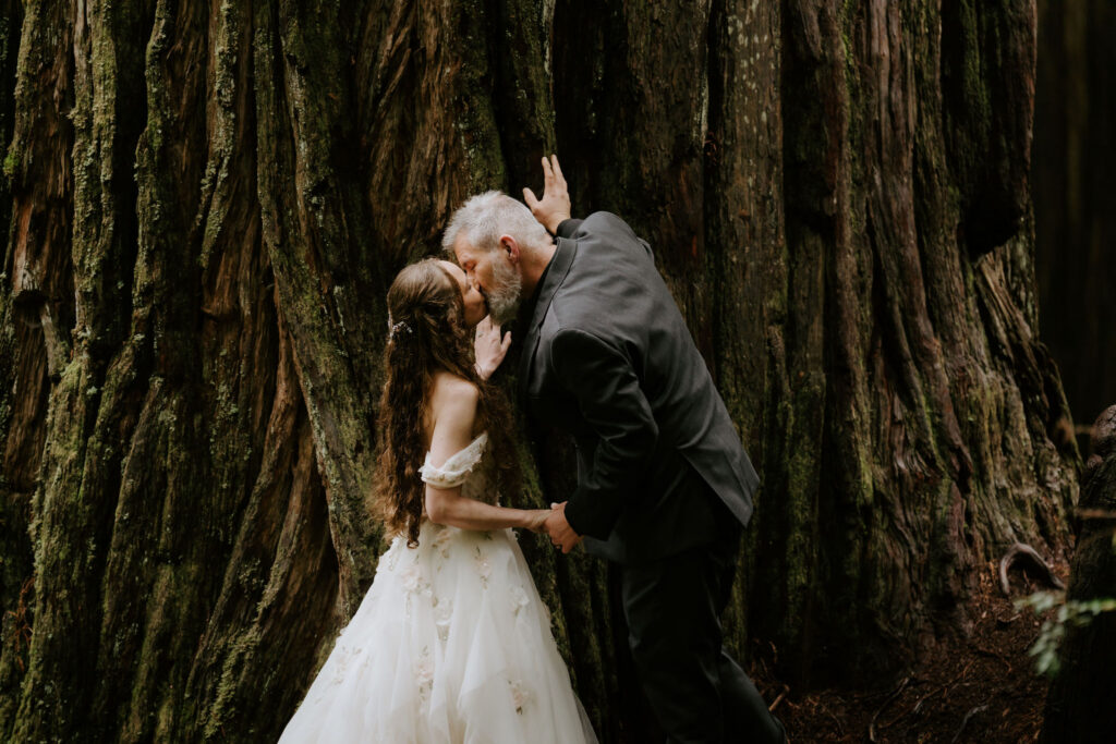 Beautiful picture of the newly married couple kissing