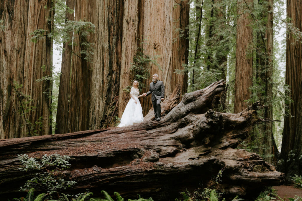 Romantic bridal session in the redwoods