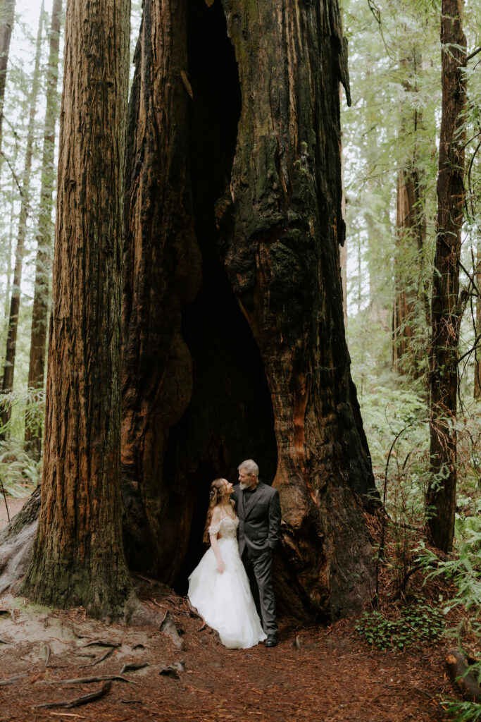 Romantic bridal portraits in the Redwood