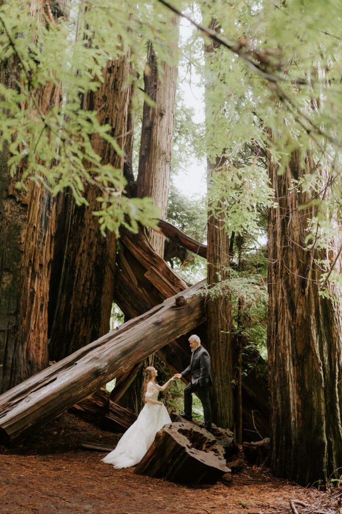 Kas & Tim’s Crescent City Elopement in the Northern California Redwoods