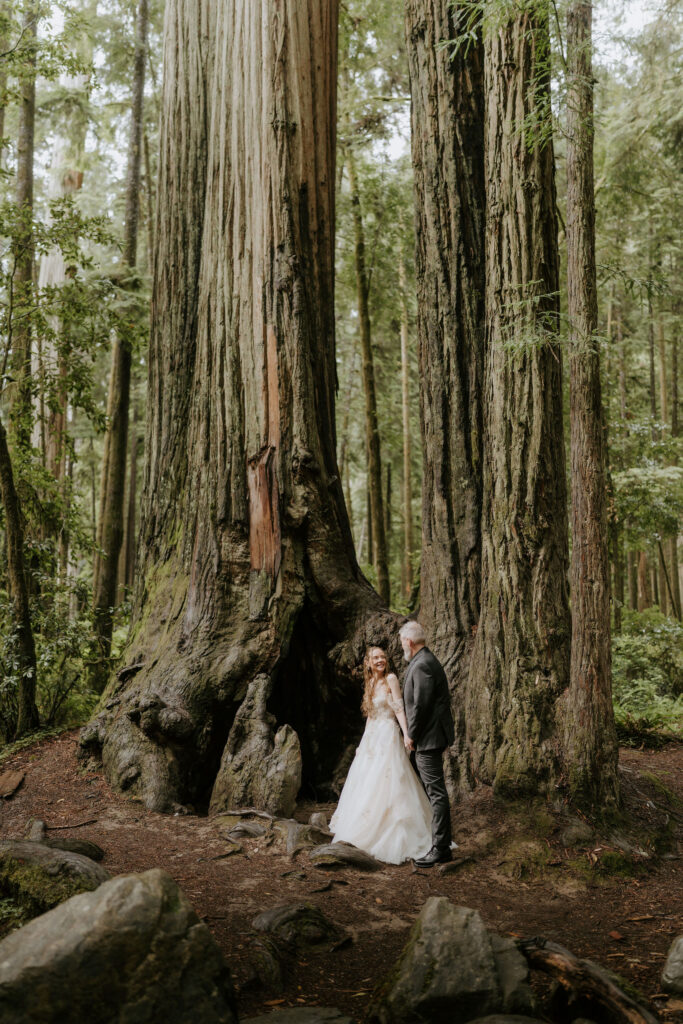 Cute picture of the bride and groom, holding hands