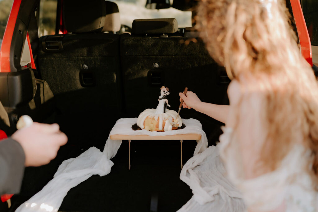 Newly married couple cutting their wedding cake