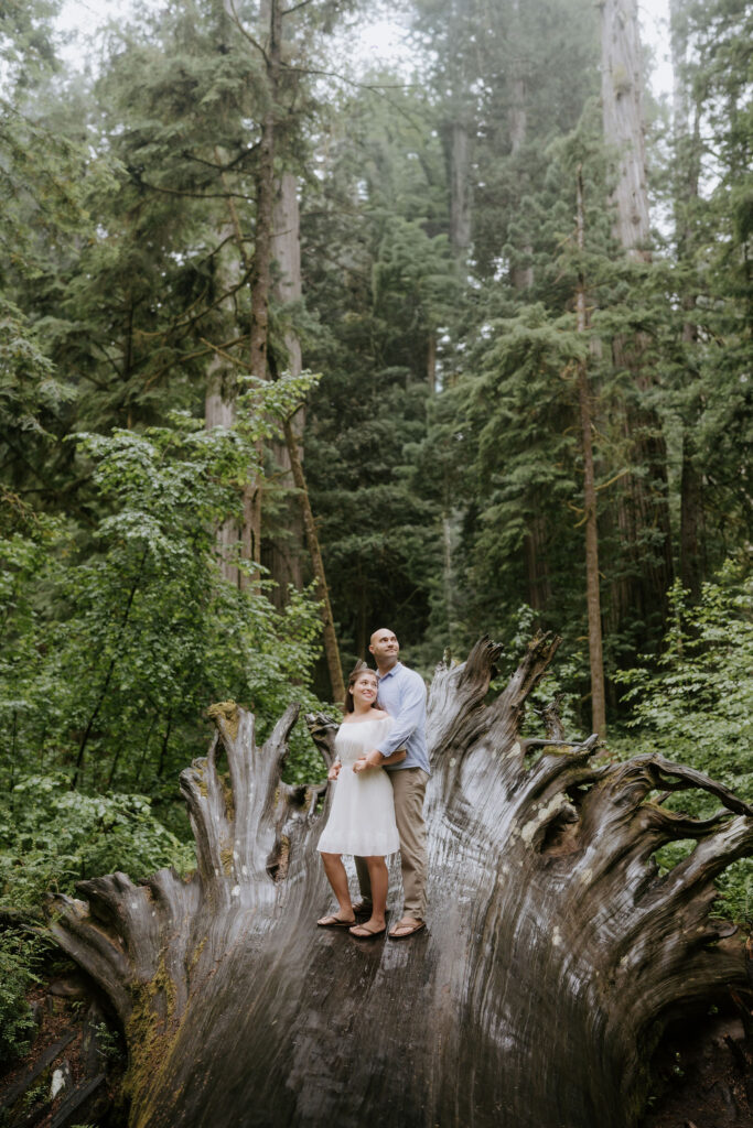 playful couple portraits in the redwoods