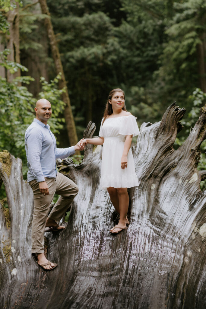 adventurous couple portraits in the redwoods