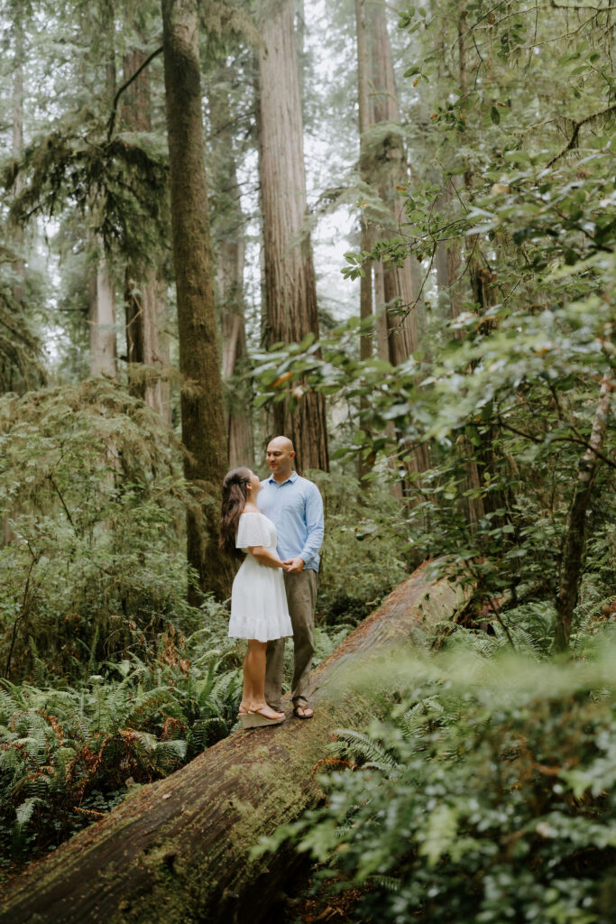 couple at their dream couple session on the coast