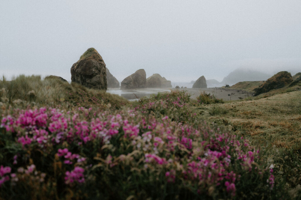 Julia & Chris’ Adventurous Engagement Session on the Coast