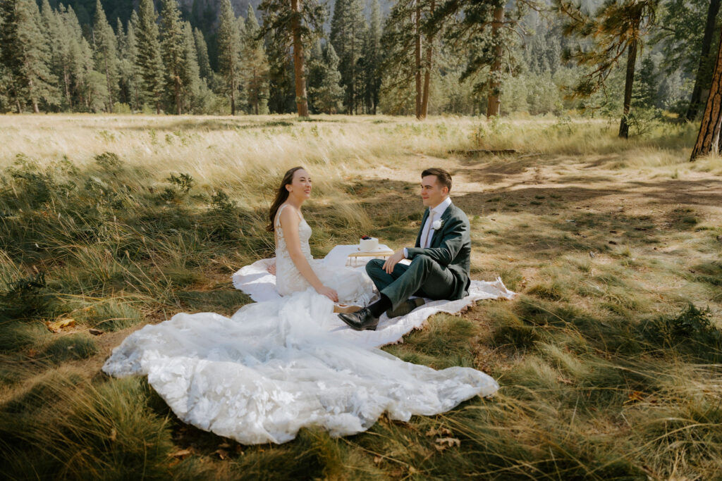 newlyweds celebrating their elopement with a picnic