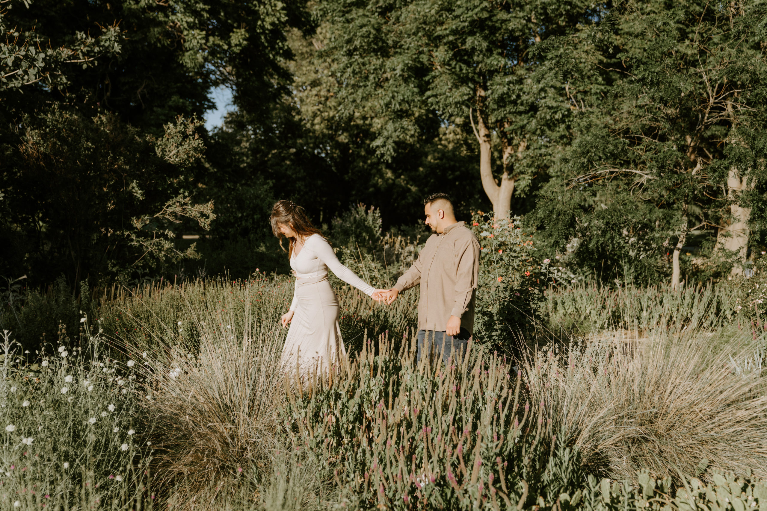Couple Walking through the Northern California Arboretum for their sunset Engagement photos